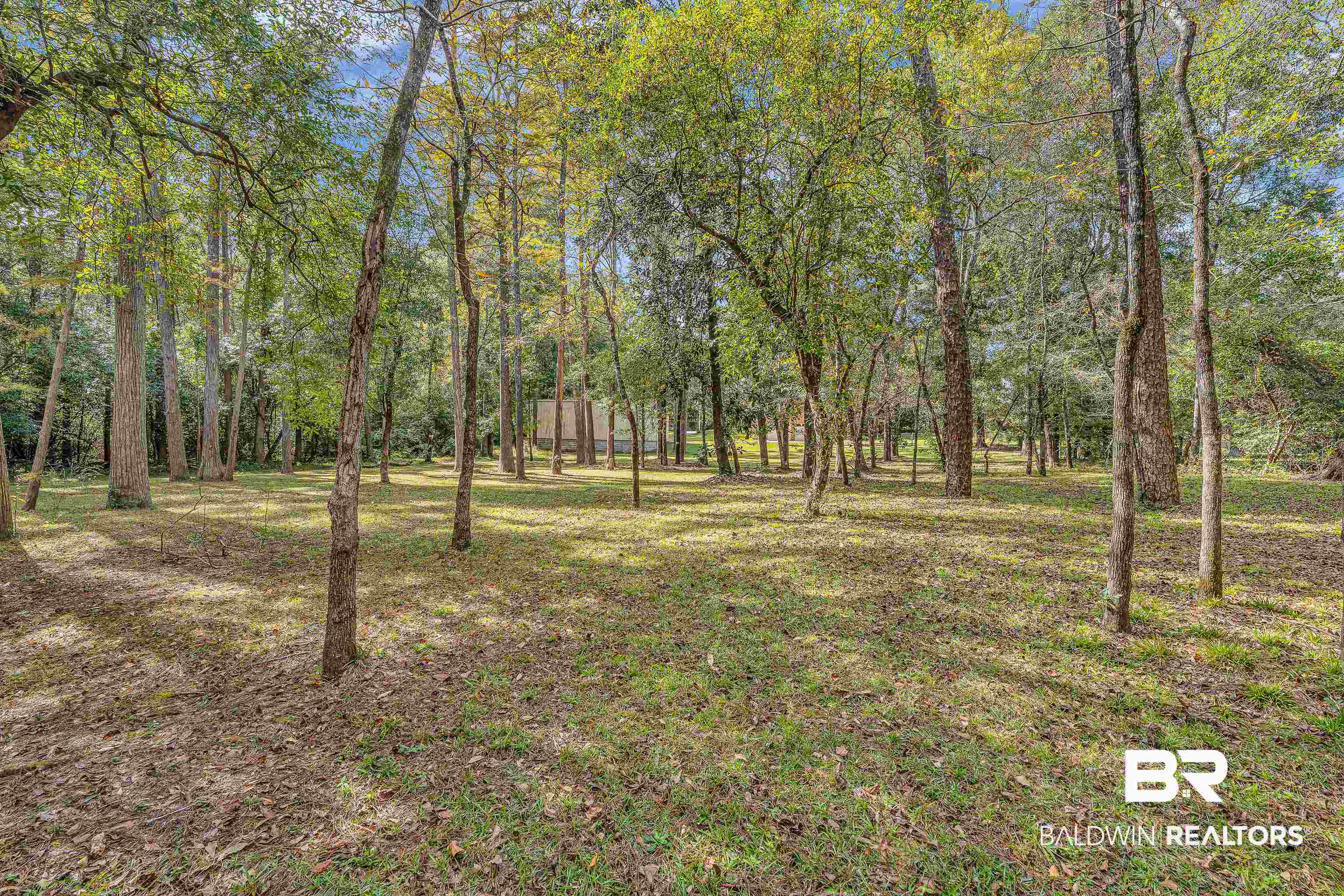 22970 River Road South Daphne, AL 36526 - Photo 13 of 48 View of yard