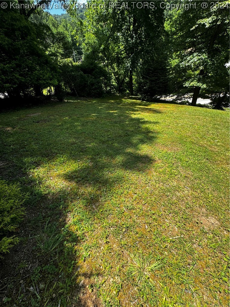 2159 Garrett Fork Road Chapmanville, WV 25508 - Photo 47 of 48 Gallery Image 47