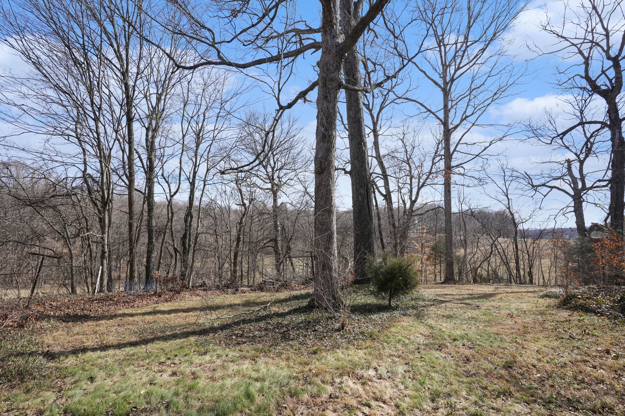 5572 Highway 76 East Springfield, TN 37172 - Photo 26 of 28