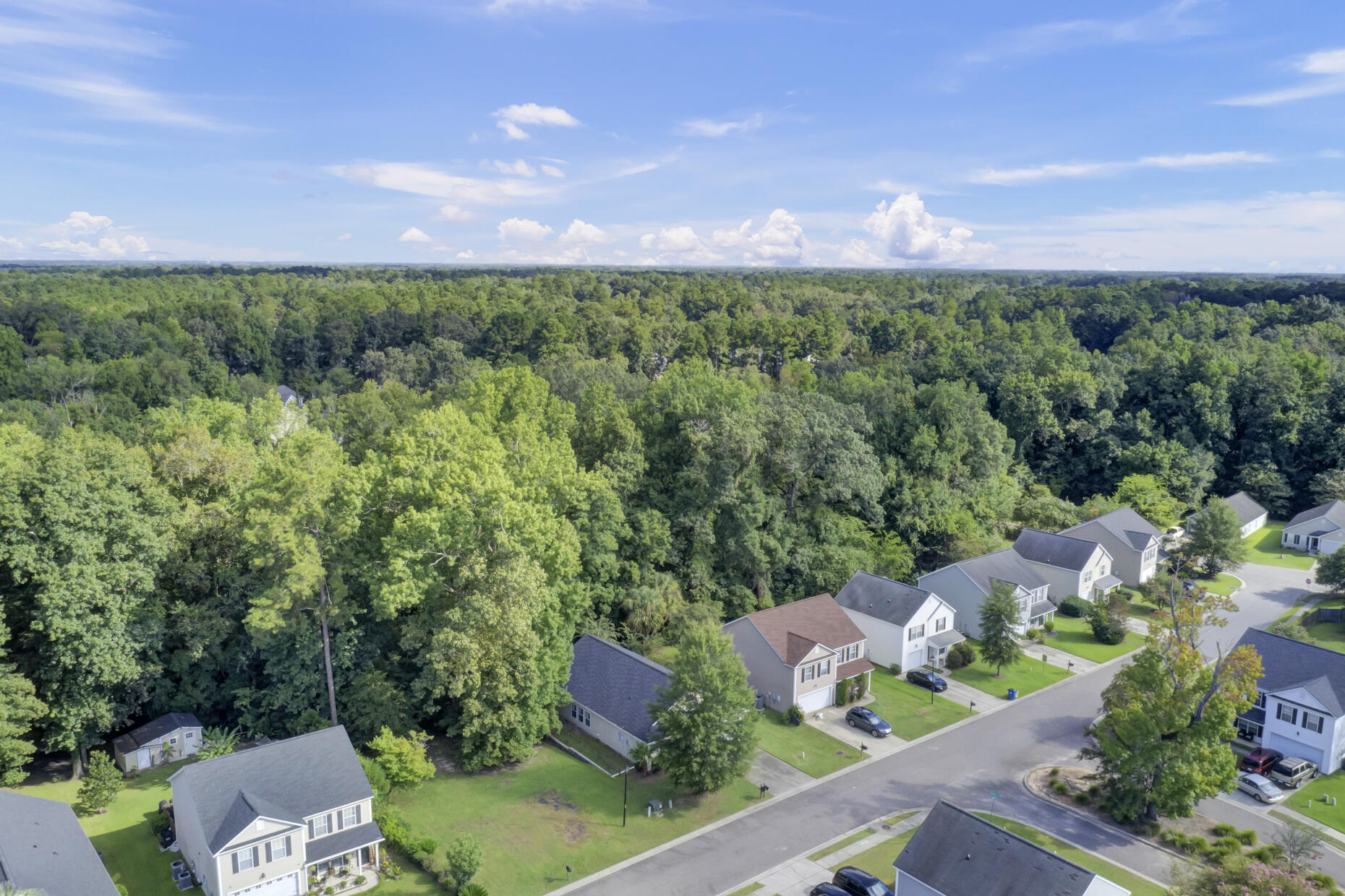 110 Hammerbeck Road Summerville, SC 29483 - Photo 4 of 46 (4)