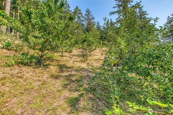 $1,750,000 | 168 Rugged Road, Orcas Island, WA 98245