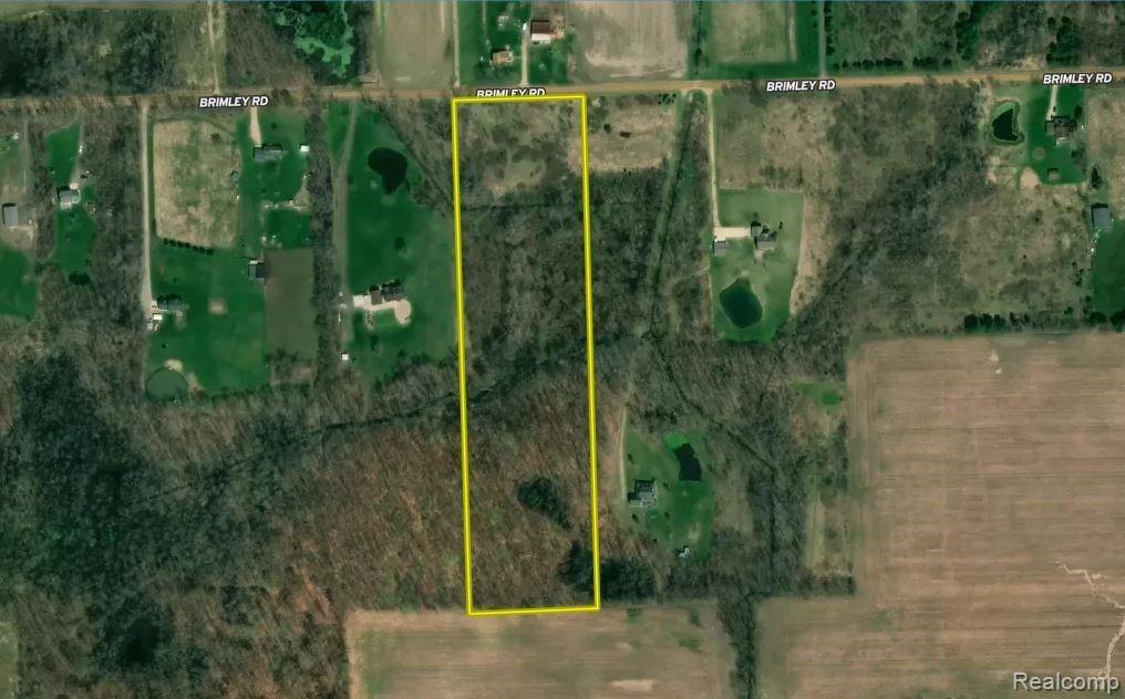 0 Brimley Road Webberville, MI 48892 - Photo 1 of 9