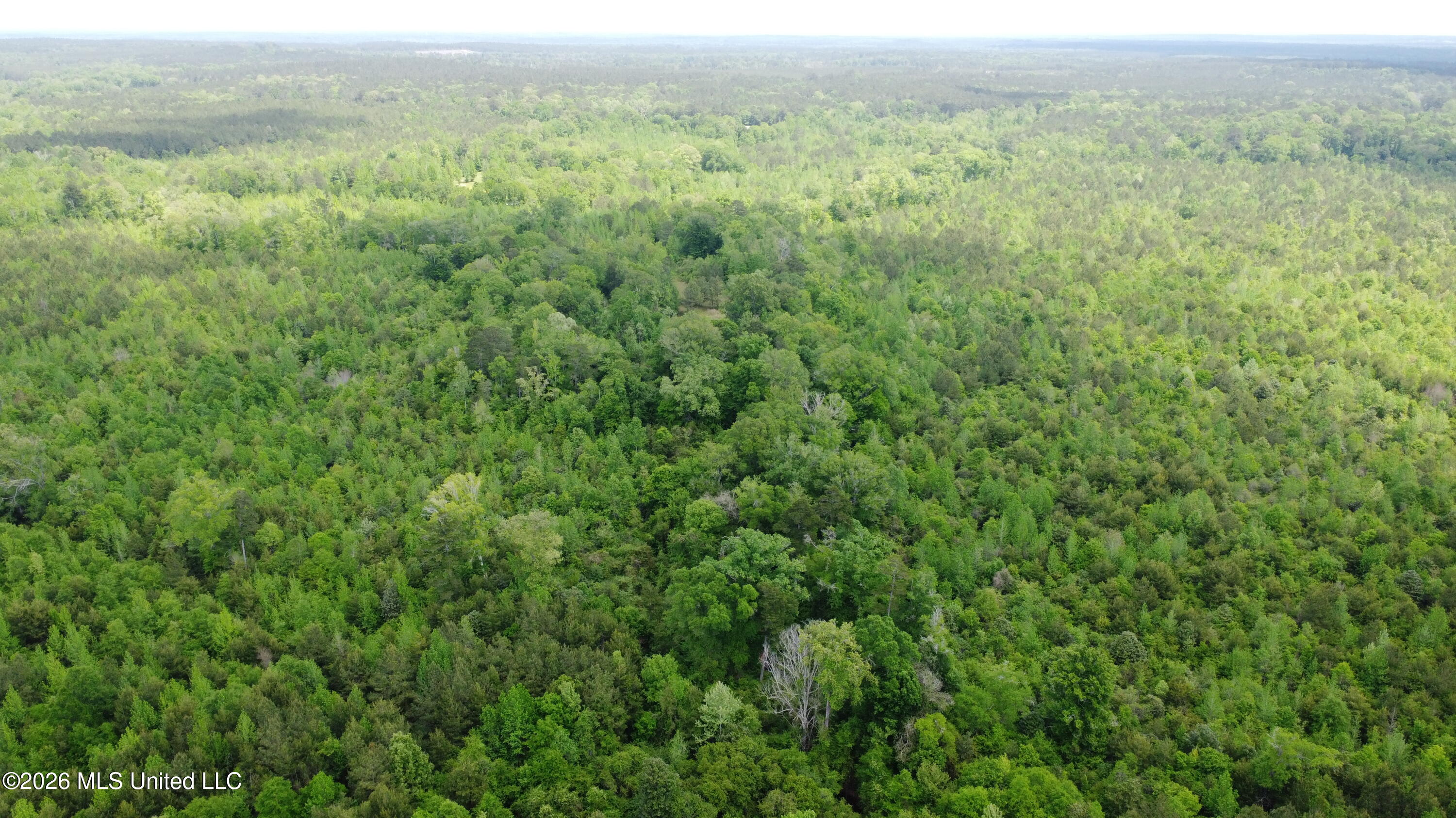 Christian Hts Road Braxton, MS 39044 - Photo 12 of 36 DJI_0828