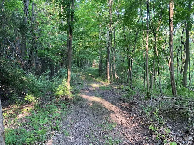 $525,000 | 0 Longview Drive, Naples, NY 14512