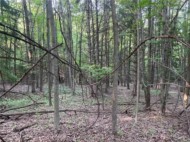 $525,000 | 0 Longview Drive, Naples, NY 14512