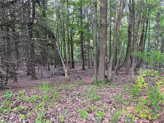 $525,000 | 0 Longview Drive, Naples, NY 14512