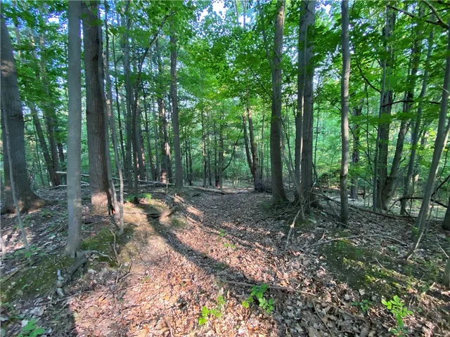 $525,000 | 0 Longview Drive, Naples, NY 14512