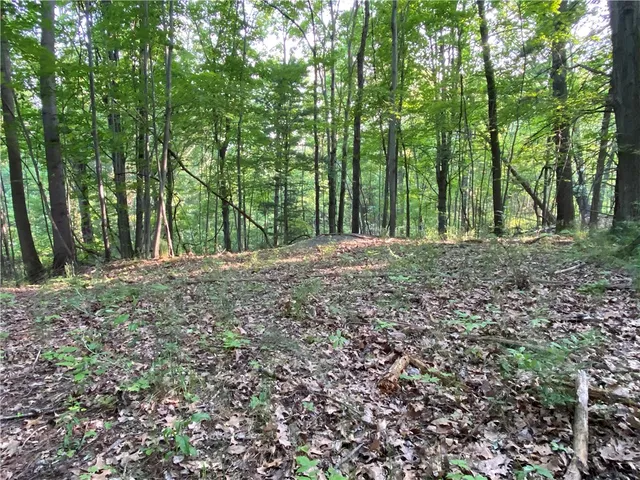 $525,000 | 0 Longview Drive, Naples, NY 14512