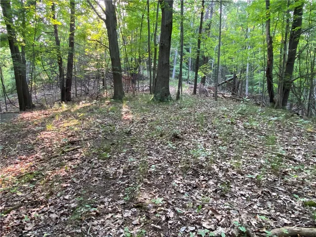 $525,000 | 0 Longview Drive, Naples, NY 14512