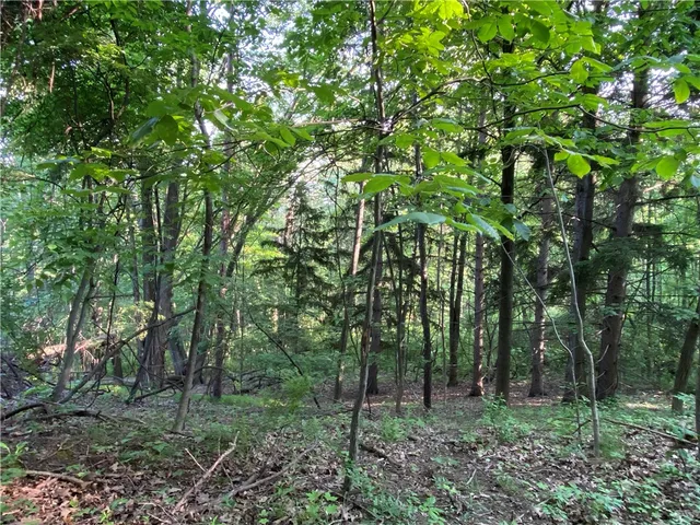 $525,000 | 0 Longview Drive, Naples, NY 14512