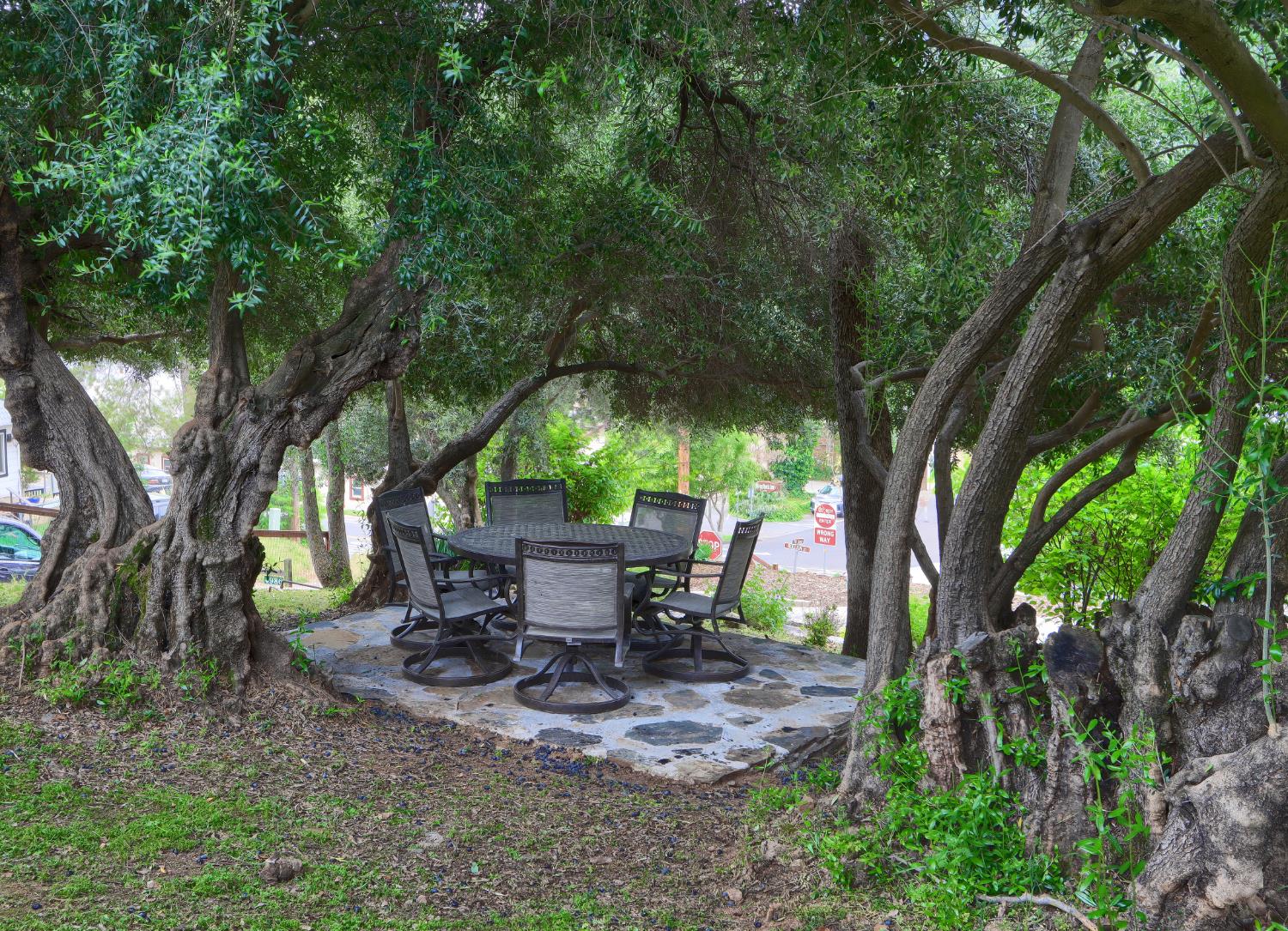4986 7th Street Mariposa, CA 95338 - Photo 50 of 64 Garden Area - Outdoor Dining under the Olive Trees.