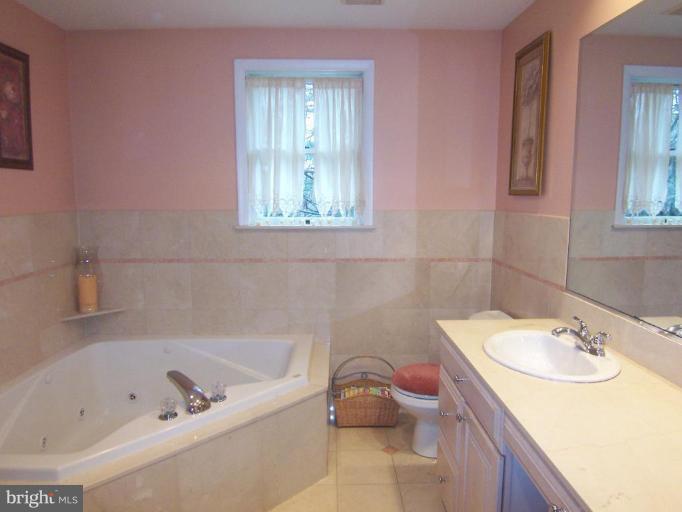 4601 Carroll Manor Road Baldwin, MD 21013 - Photo 18 of 30 Master Bath