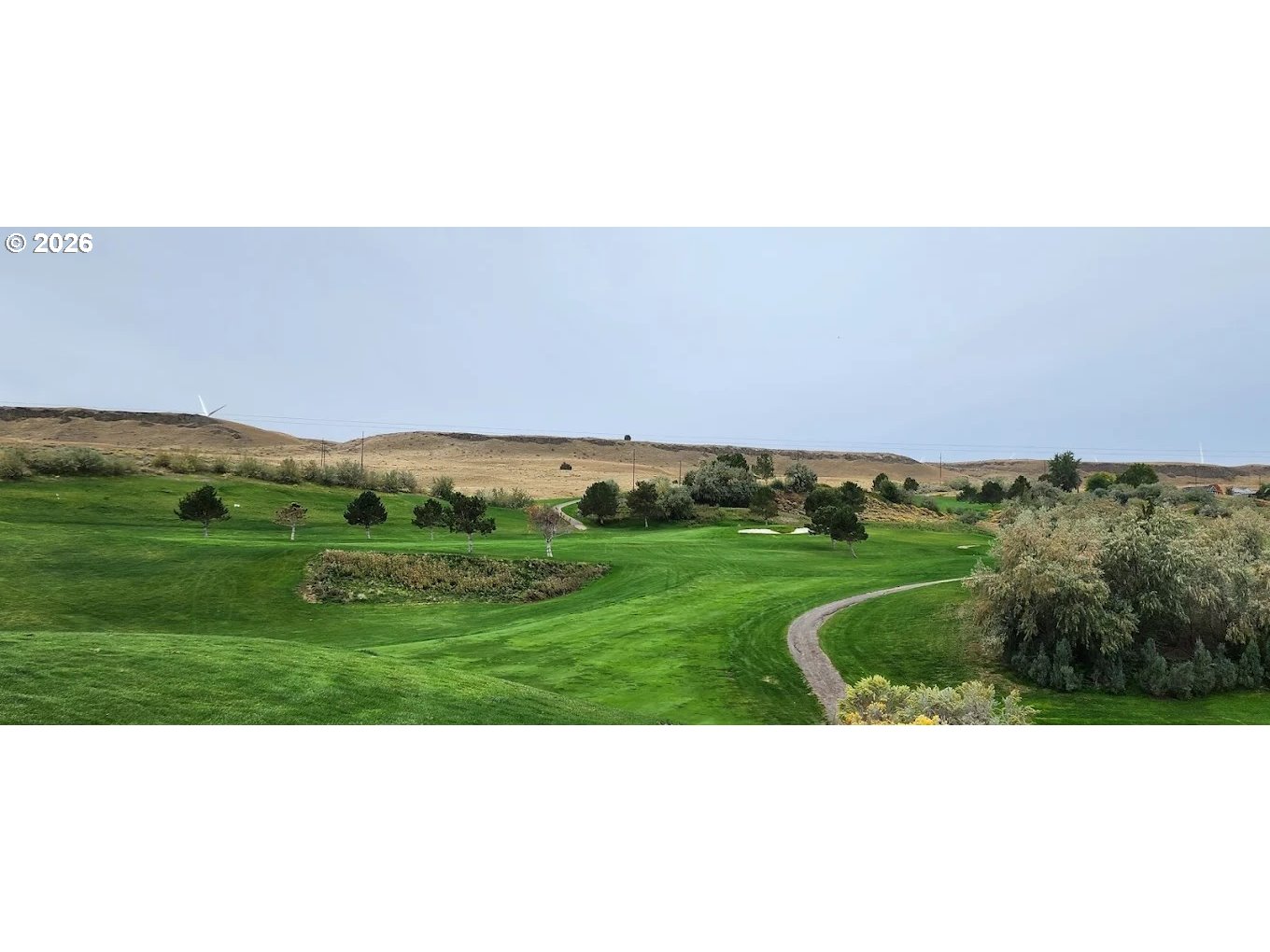 1225 Fairway Loop Arlington, OR 97812 - Photo 11 of 15 a black and white photo of a field