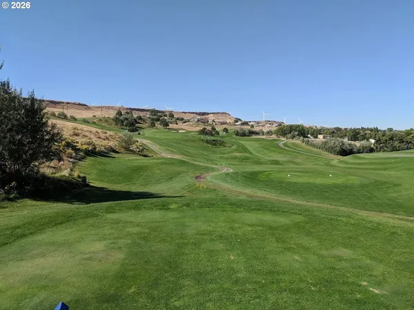 a view of a field with an trees