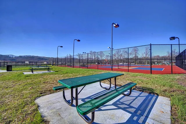 a view of park with tall trees