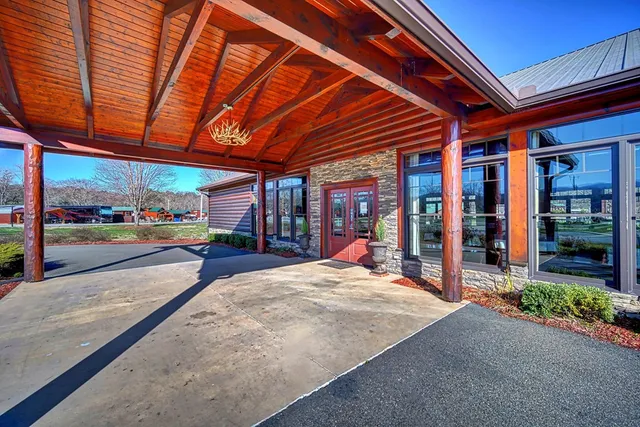 a view of yard with tree s