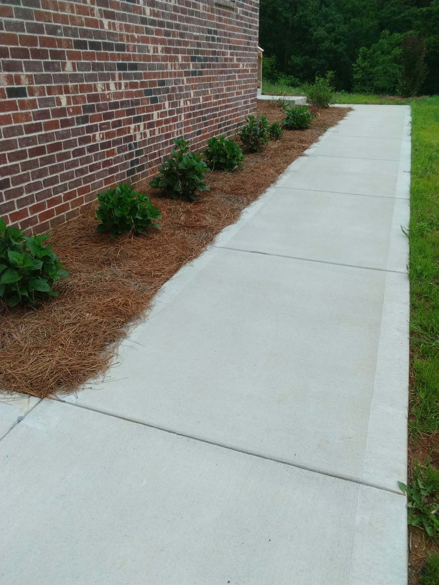 2006 McMahan Hollow Road Pleasant View, TN 37146 - Photo 16 of 20 a view of a pathway both side of house