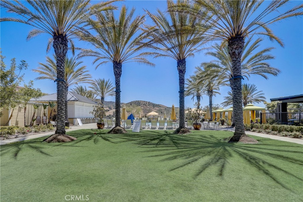 44 Hoya Street Rancho Mission Viejo, CA 92694 - Photo 22 of 32 a row of palm trees in front of house