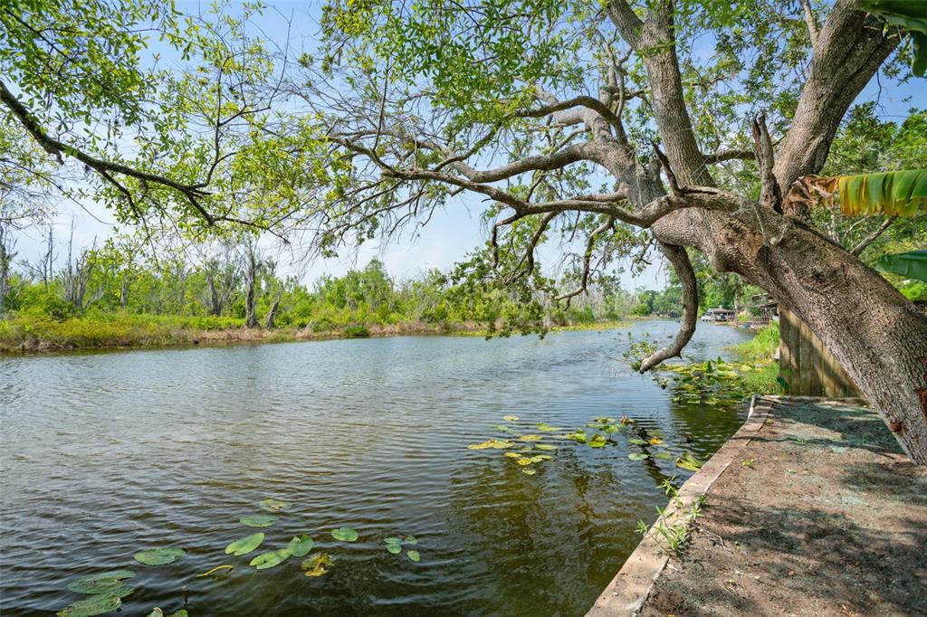28046 Lois Drive Tavares, FL 32778 - Photo 14 of 14