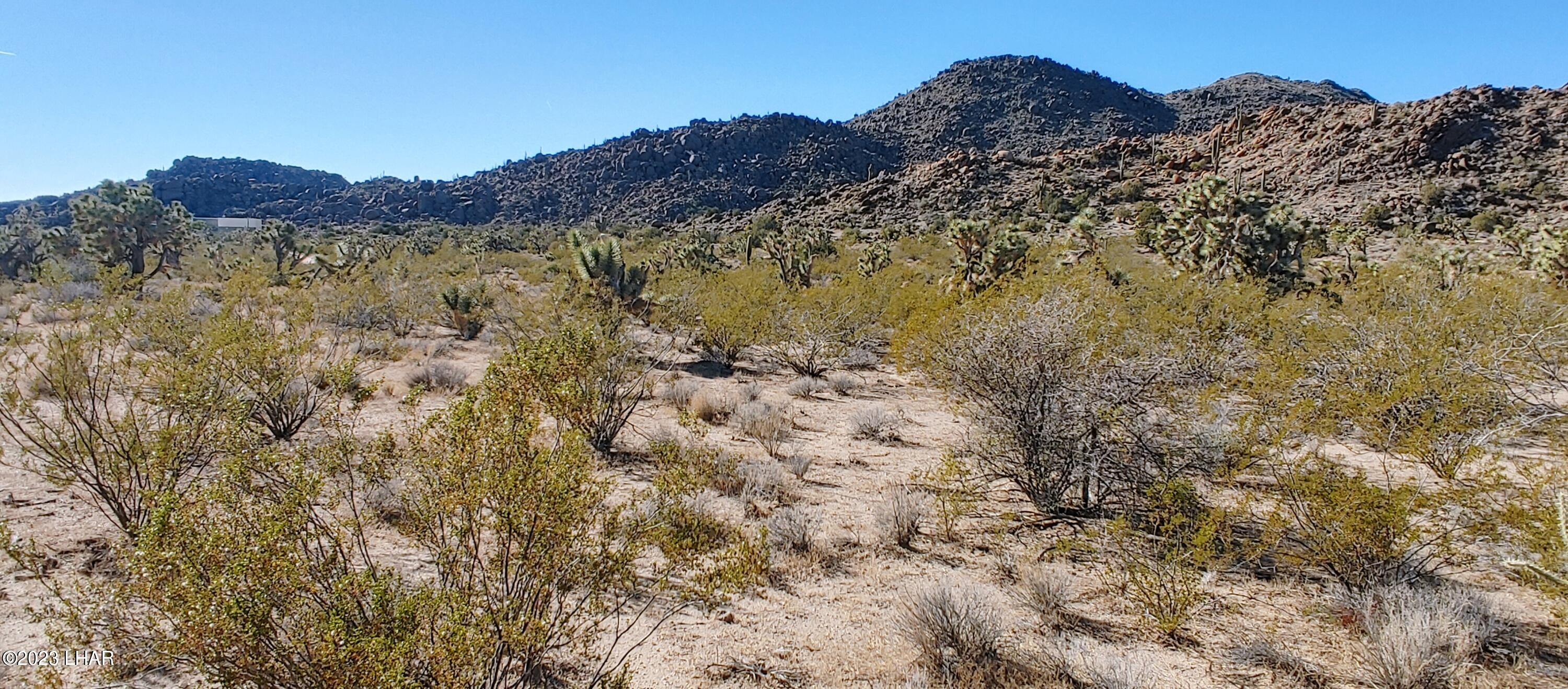 3580 East Sierra Pinta Road Yucca, AZ 86438 - Photo 1 of 39 1210221323b_HDR