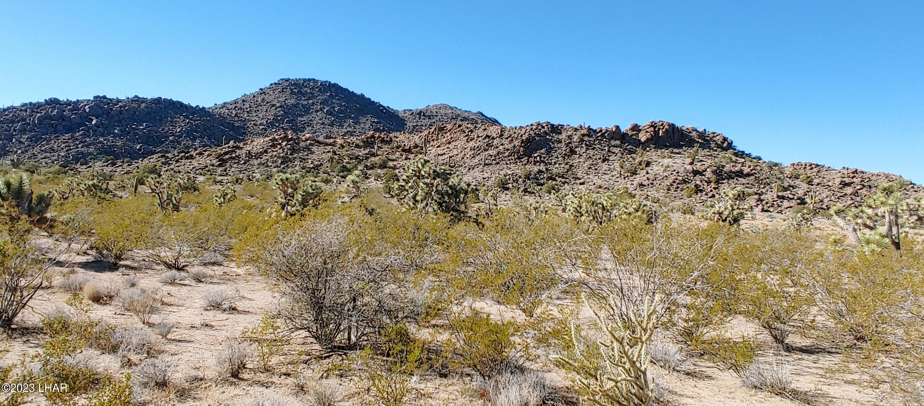 3580 East Sierra Pinta Road Yucca, AZ 86438 - Photo 2 of 39 1210221323_HDR