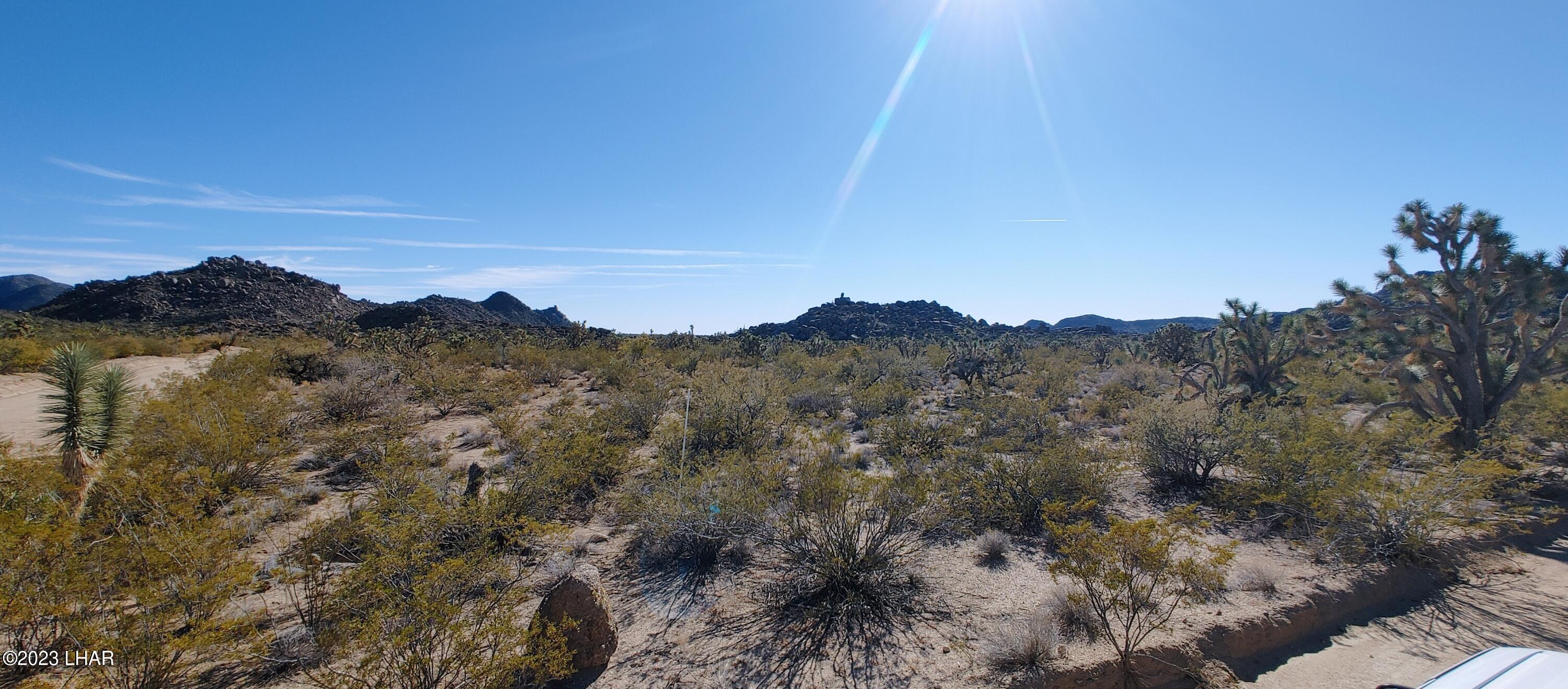 3580 East Sierra Pinta Road Yucca, AZ 86438 - Photo 7 of 39 1210221321b