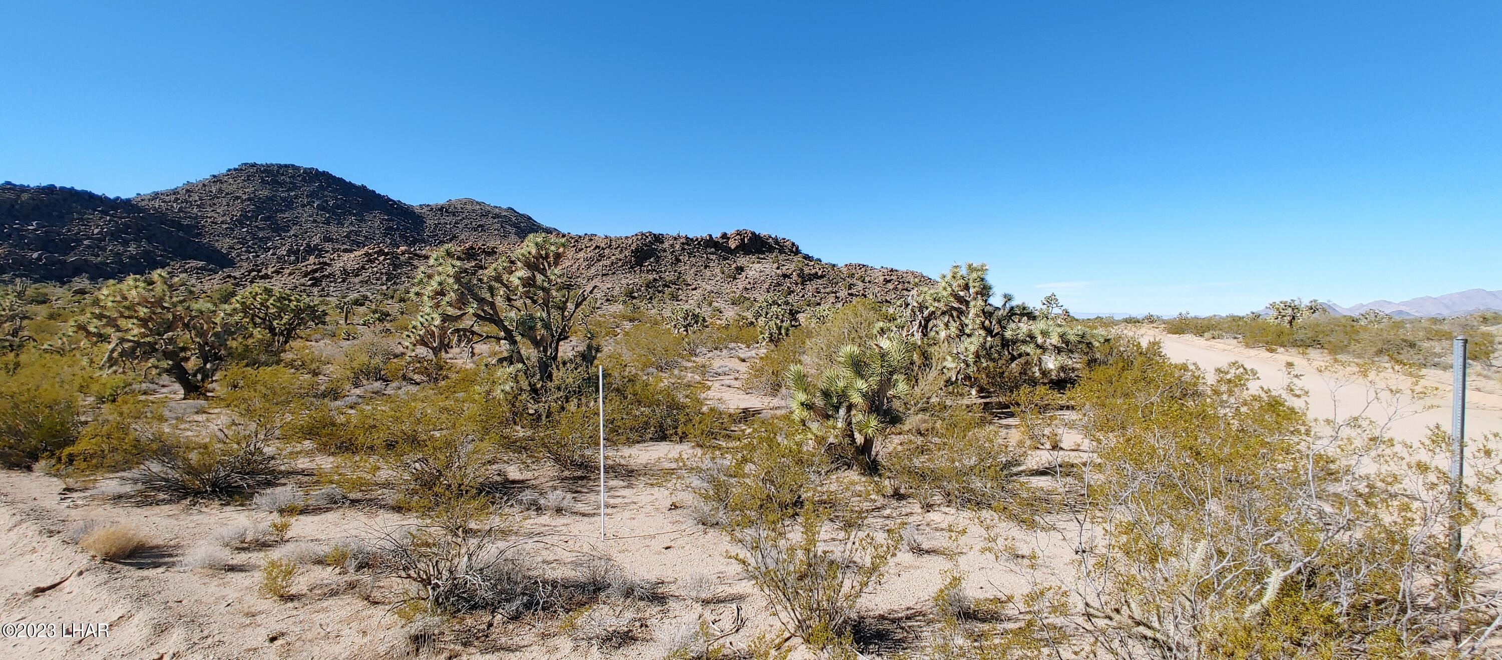 3580 East Sierra Pinta Road Yucca, AZ 86438 - Photo 8 of 39 1210221321_HDR