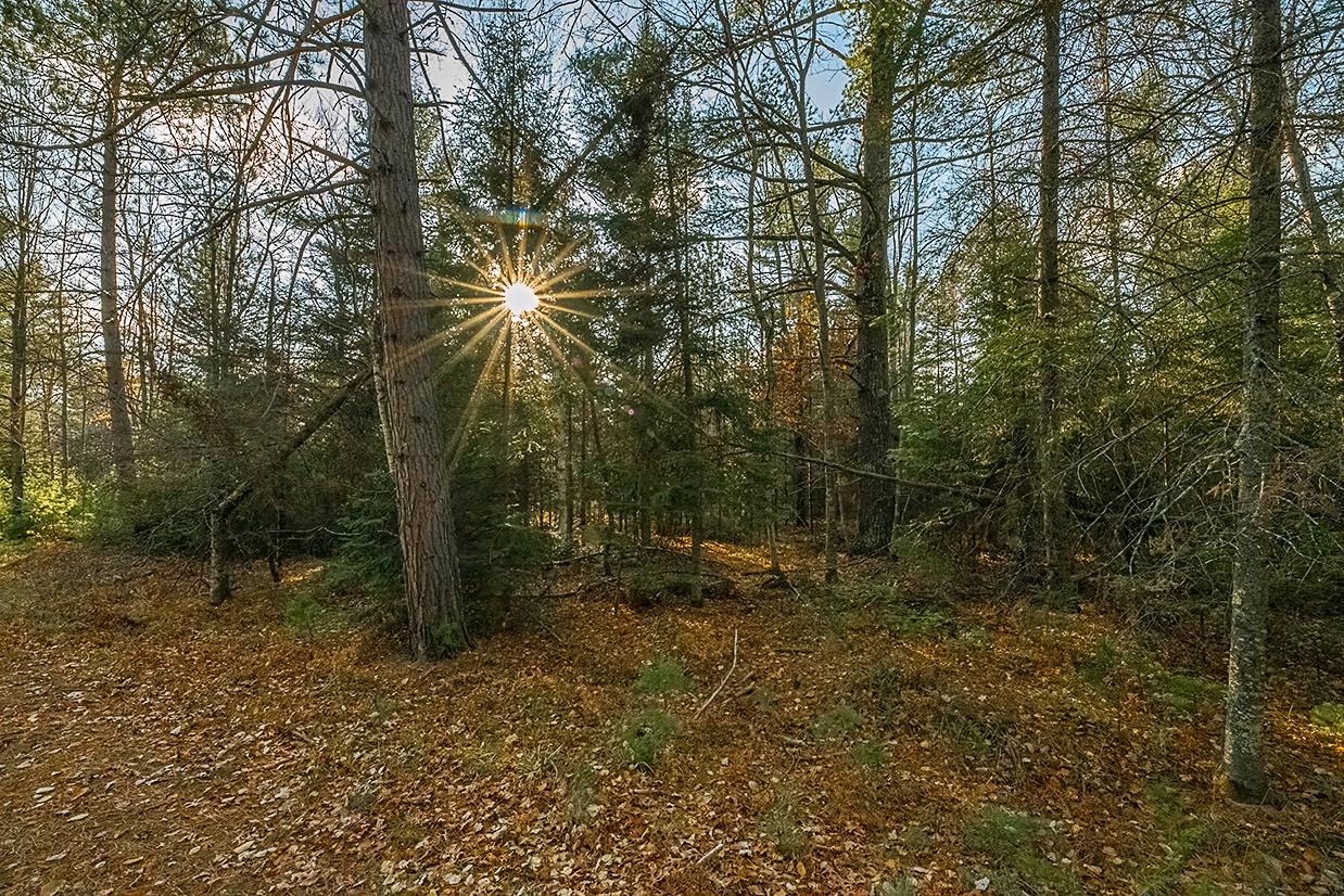 Off Watersmeet Lake Road Eagle River, WI 54521 - Photo 3 of 22 Gallery Image 3