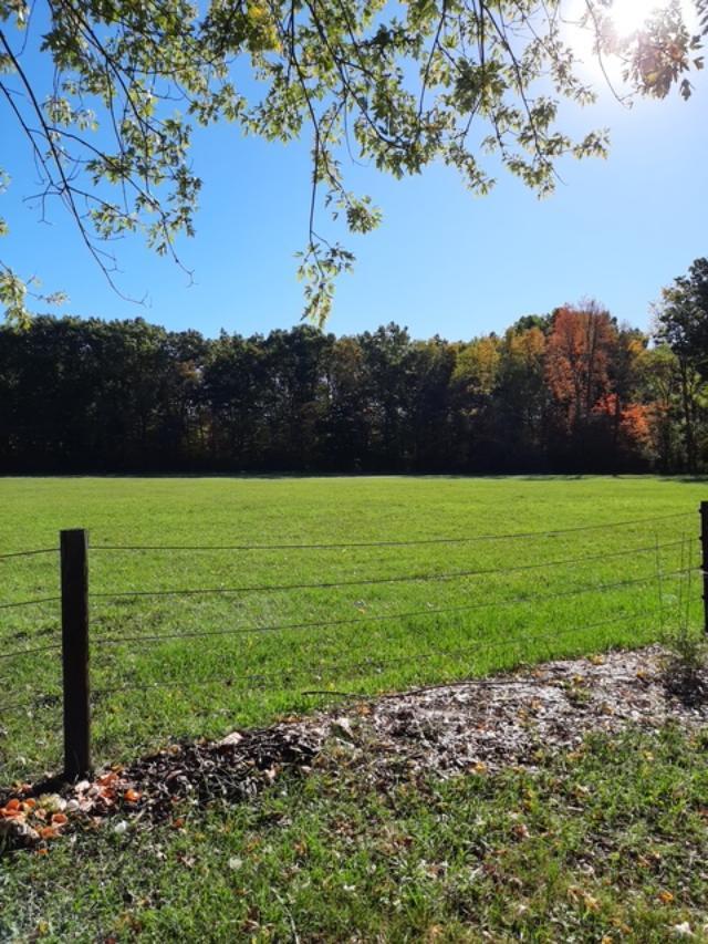 1771 Burton Road Niles, MI 49120 - Photo 50 of 54 1771_SellerPic_2