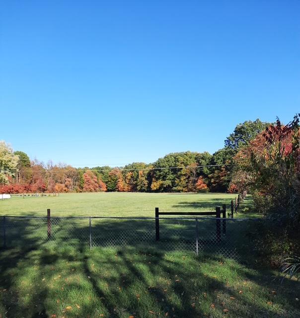 1771 Burton Road Niles, MI 49120 - Photo 51 of 54 1771_SellerPic_3