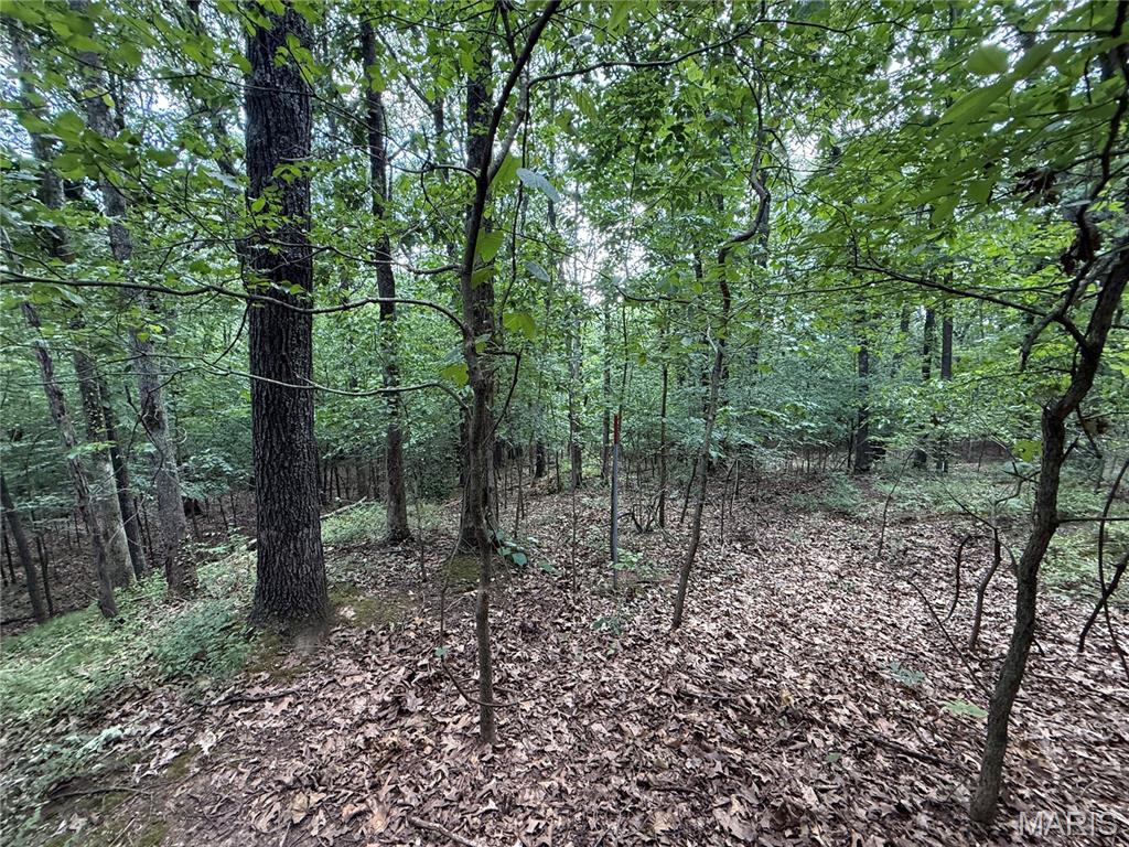 1133 Union School Road Ava, IL 62907 - Photo 33 of 46