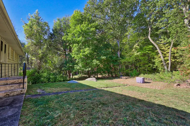 a childrens park with lots of trees
