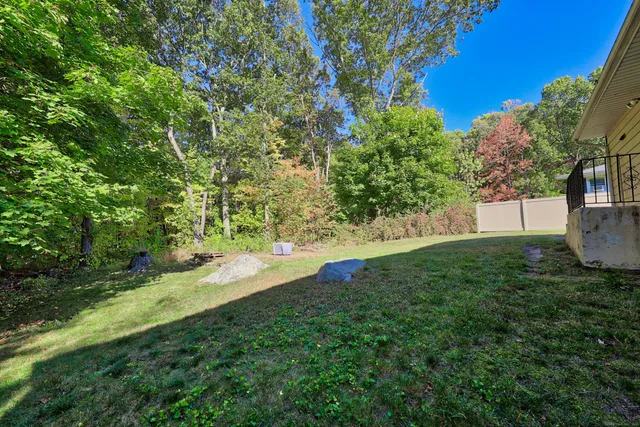 a view of yard with green space