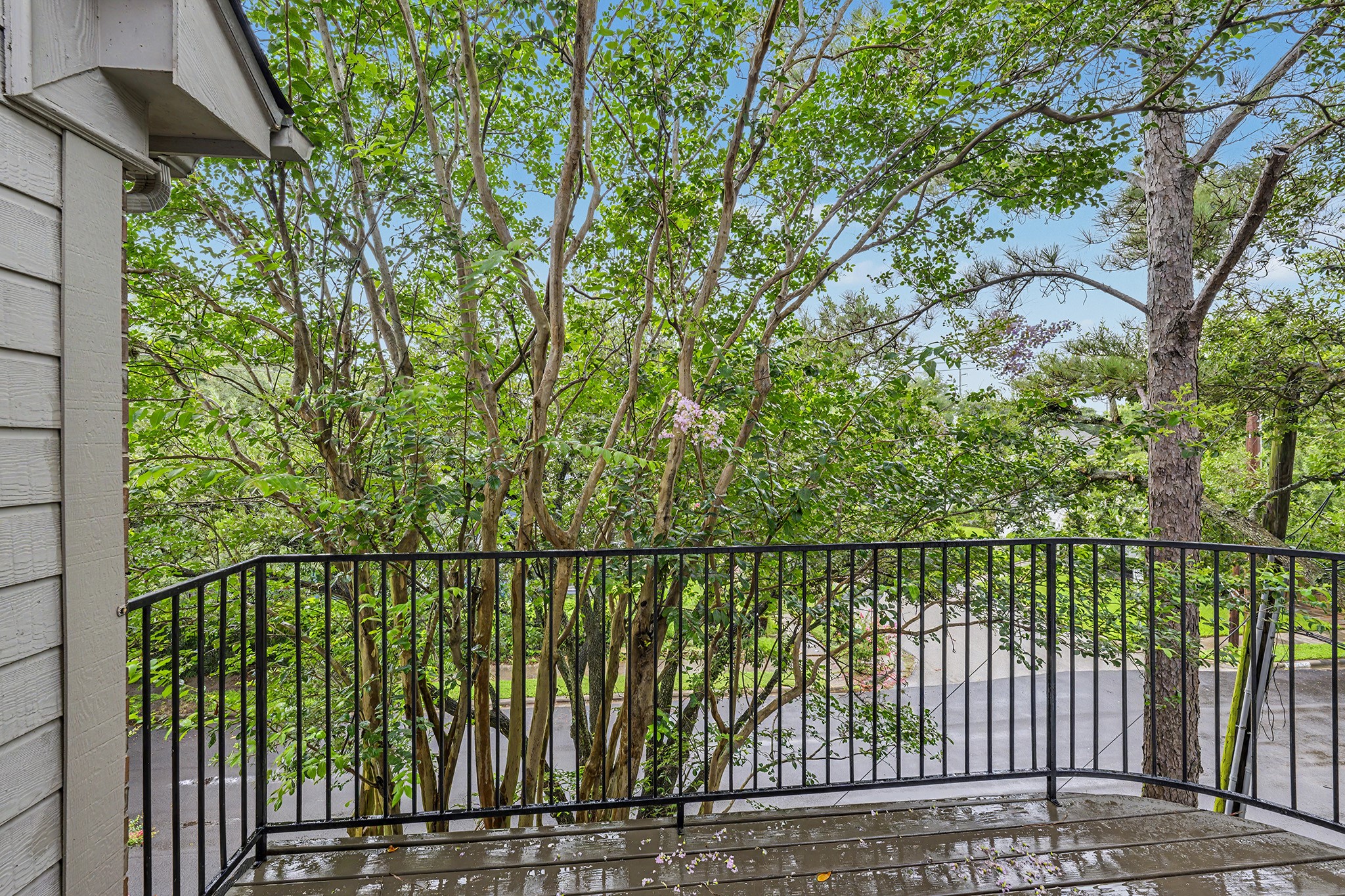 1925 Haddon Street Houston, TX 77019 - Photo 13 of 22