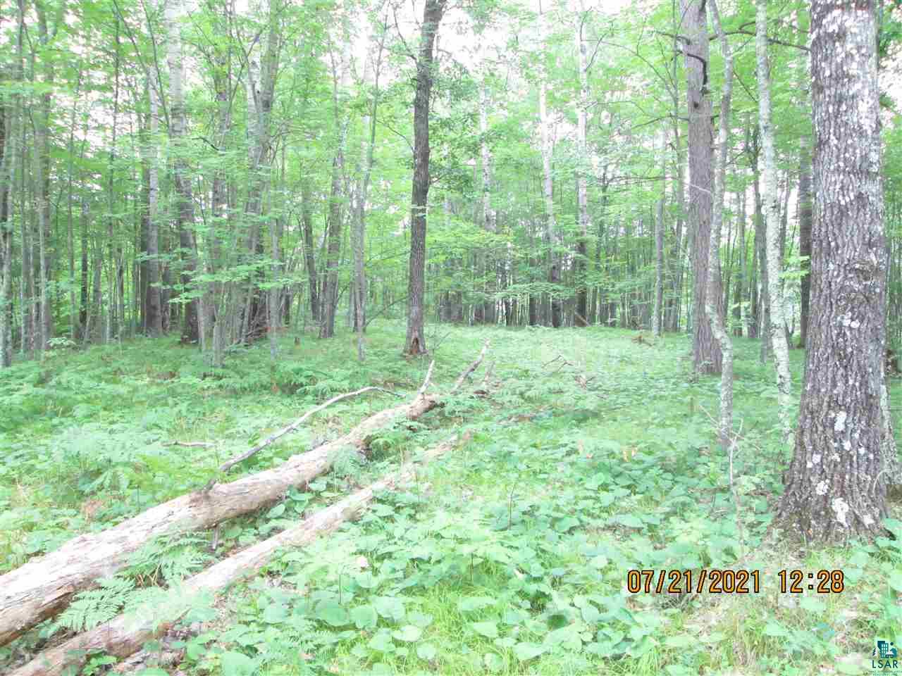 Lot 6 Fire Hill Road Gordon, WI 54838 - Photo 4 of 7 Gallery Image 4