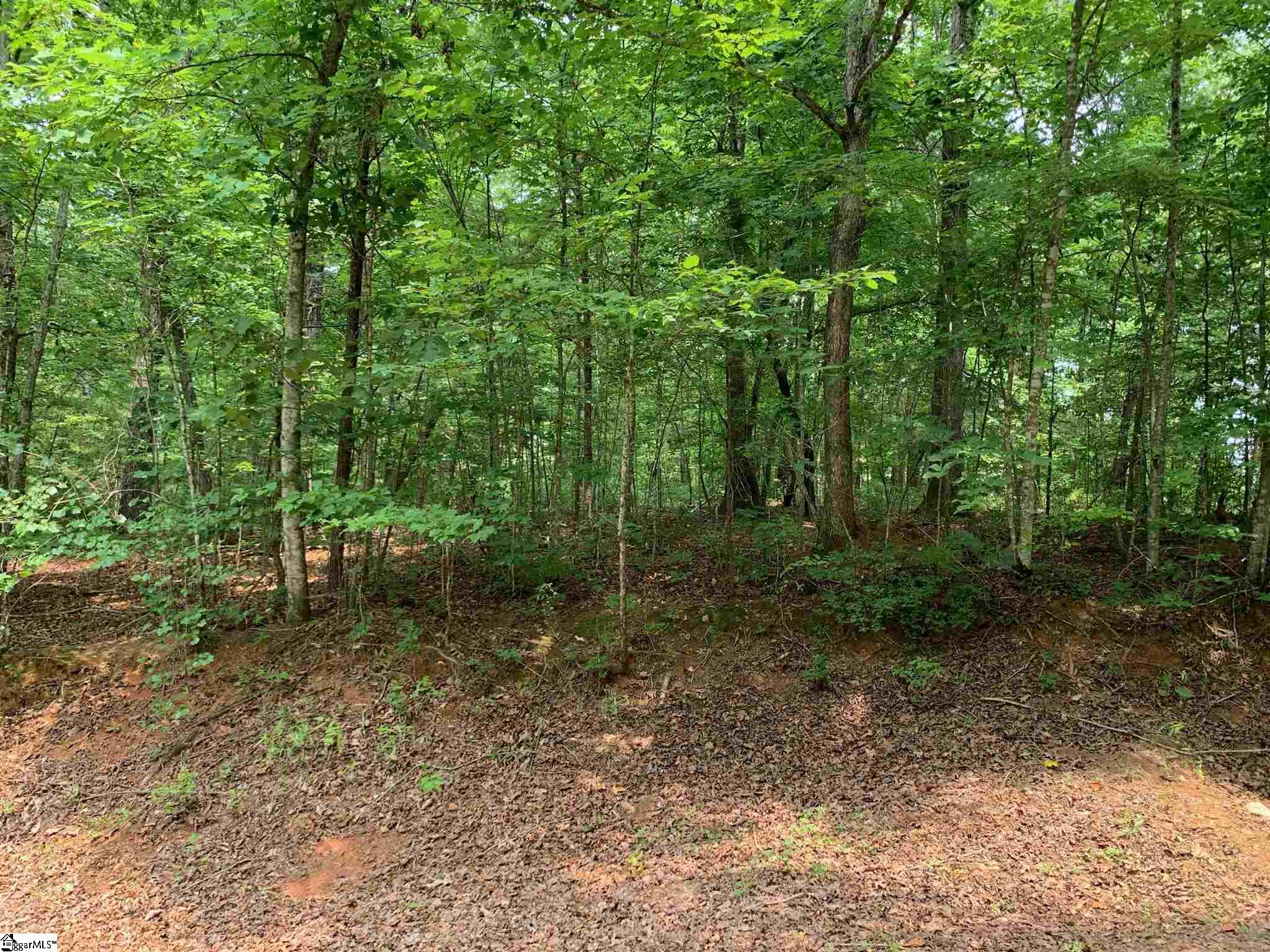 9 Durango Road Cleveland, SC 29635 - Photo 4 of 6 Gallery Image 4