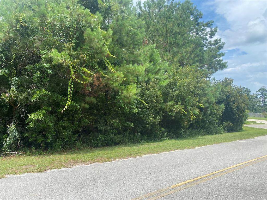 a view of a yard with a trees