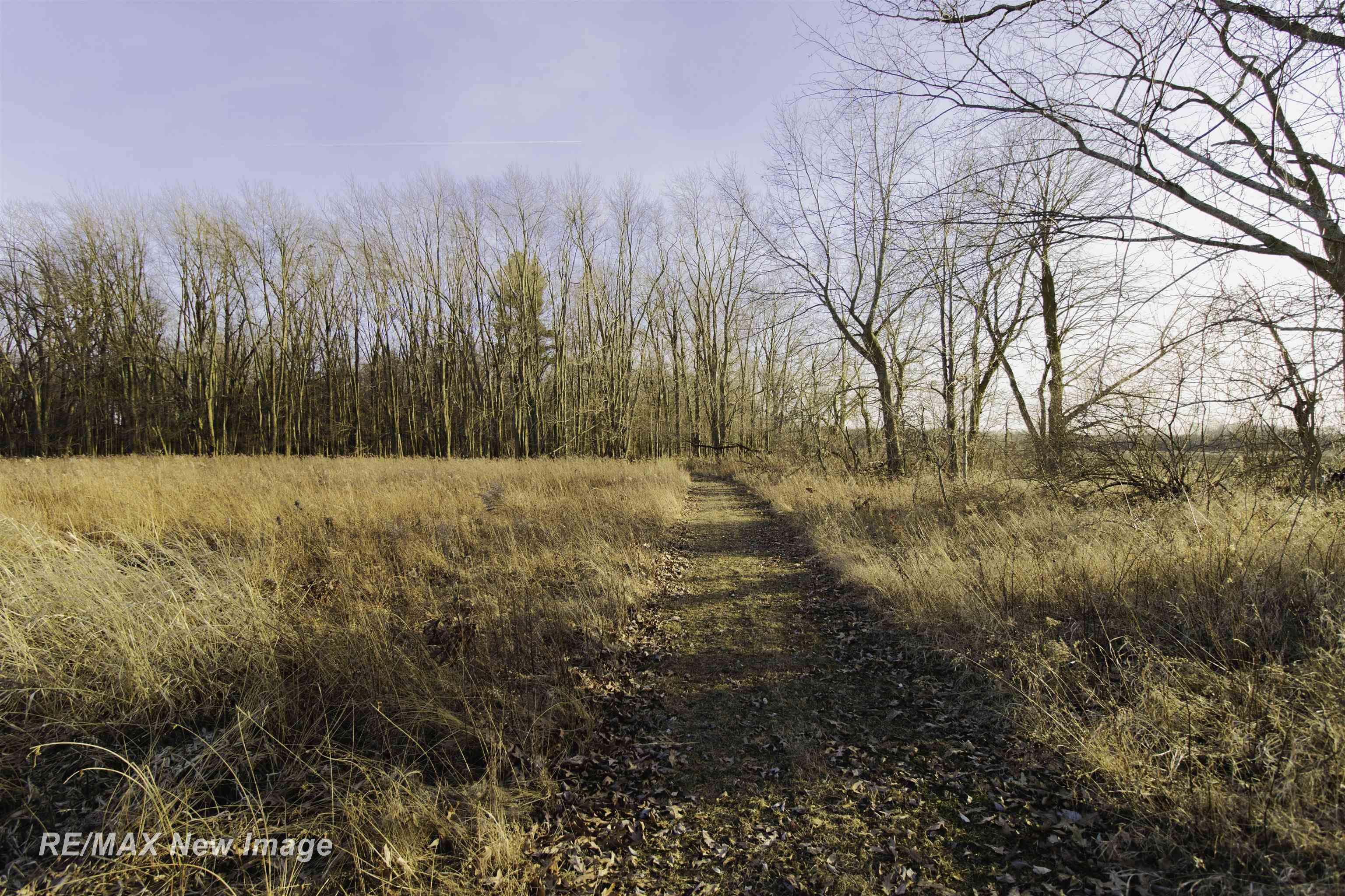 17240 South Sharon Road Chesaning, MI 48616 - Photo 38 of 38 50169069-c1d22e55-9d66-4552-9530-f05d464e9013.JPG