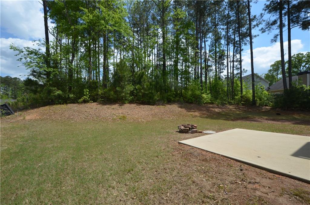 107 Spring View Branch Dallas, GA 30157 - Photo 17 of 18