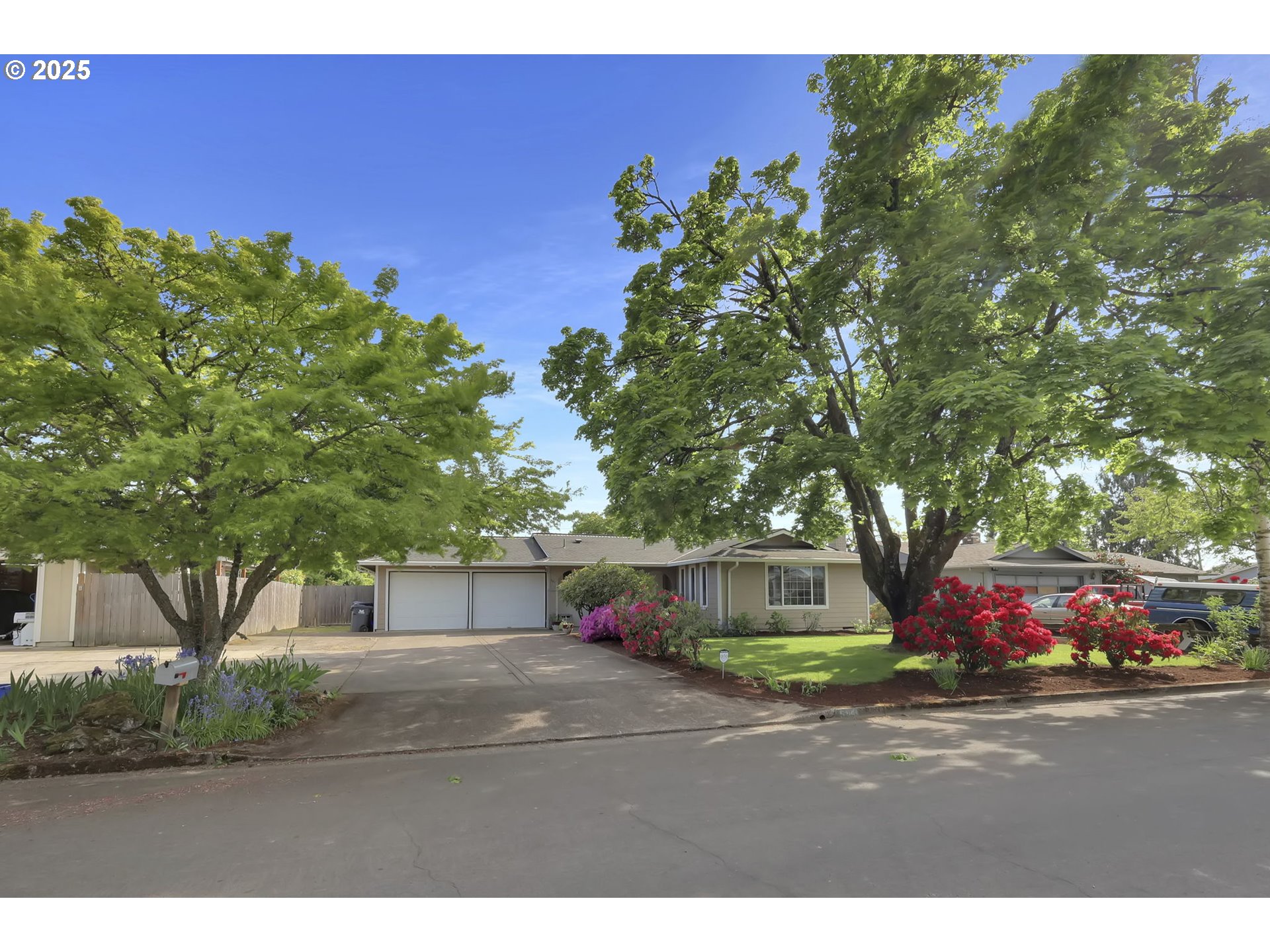 541 Pinedale Avenue Springfield, OR 97477 - Photo 3 of 42 Gallery Image 3