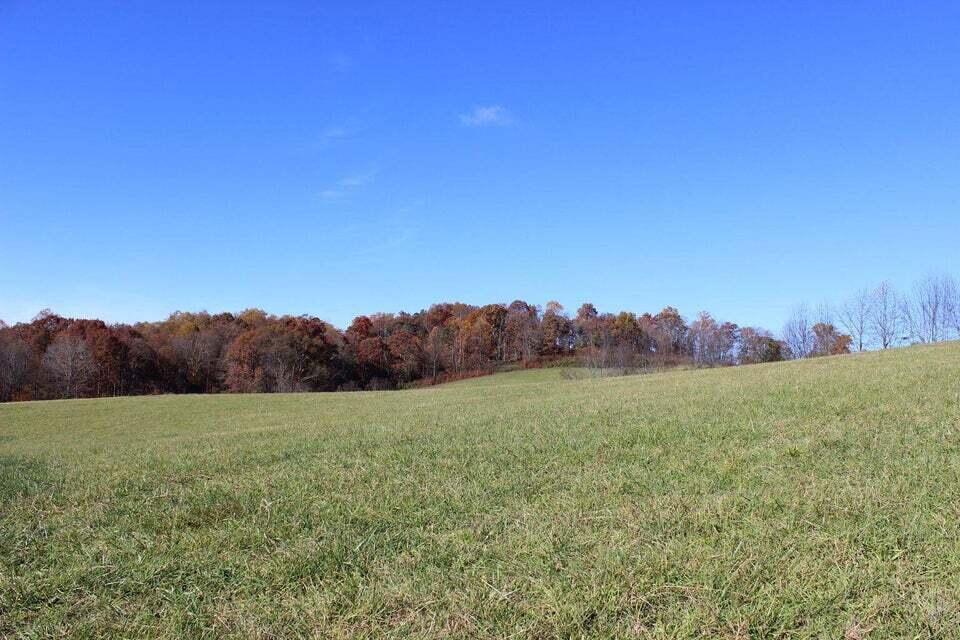 Lot 4 Providence Road, Unit 4 Limestone, TN 37681 - Photo 3 of 9 20220720050552643125000000-o