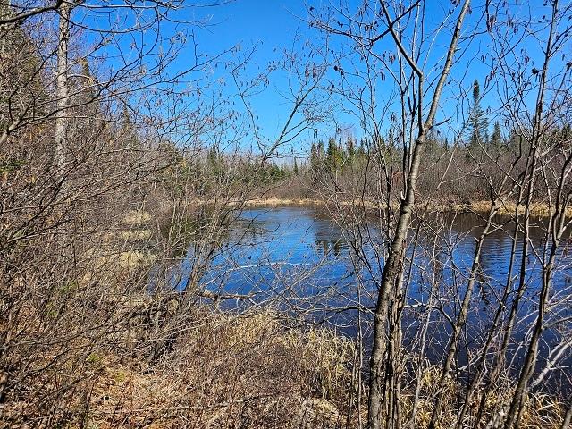 Lot 10 Weber Lake Road Mercer, WI 54547 - Photo 14 of 16 Gallery Image 14