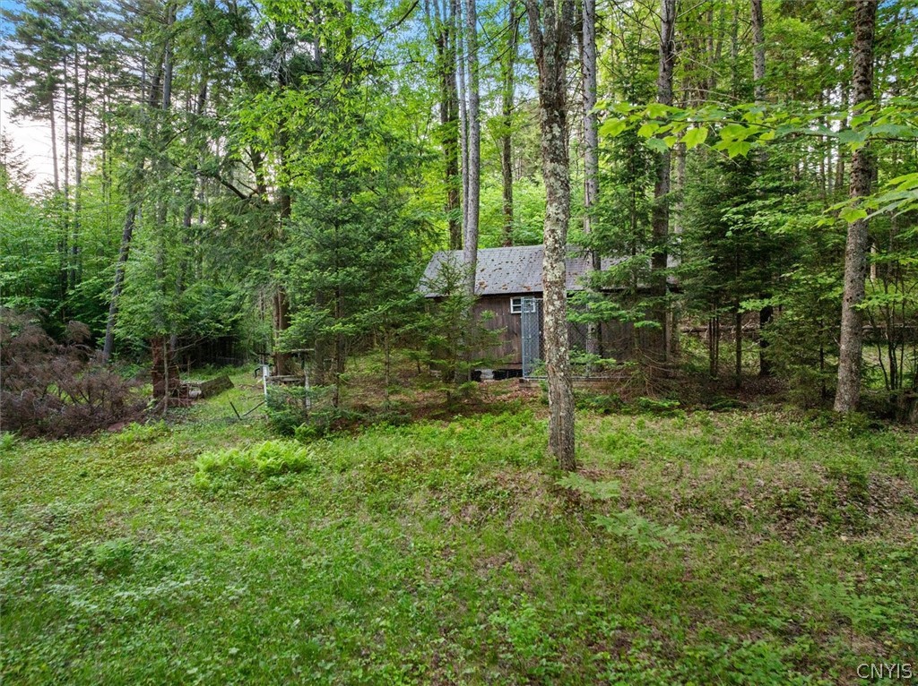 171 Ash Creek Road Ohio, NY 13324 - Photo 9 of 49