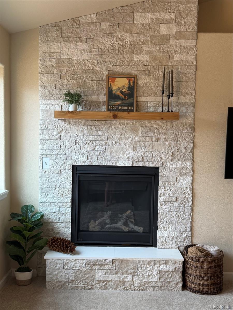 303 Virginia Road, Unit E Bailey, CO 80421 - Photo 11 of 27