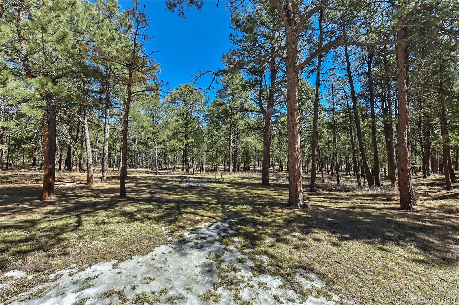 11325 Raygor Road Colorado Springs, CO 80908 - Photo 5 of 29