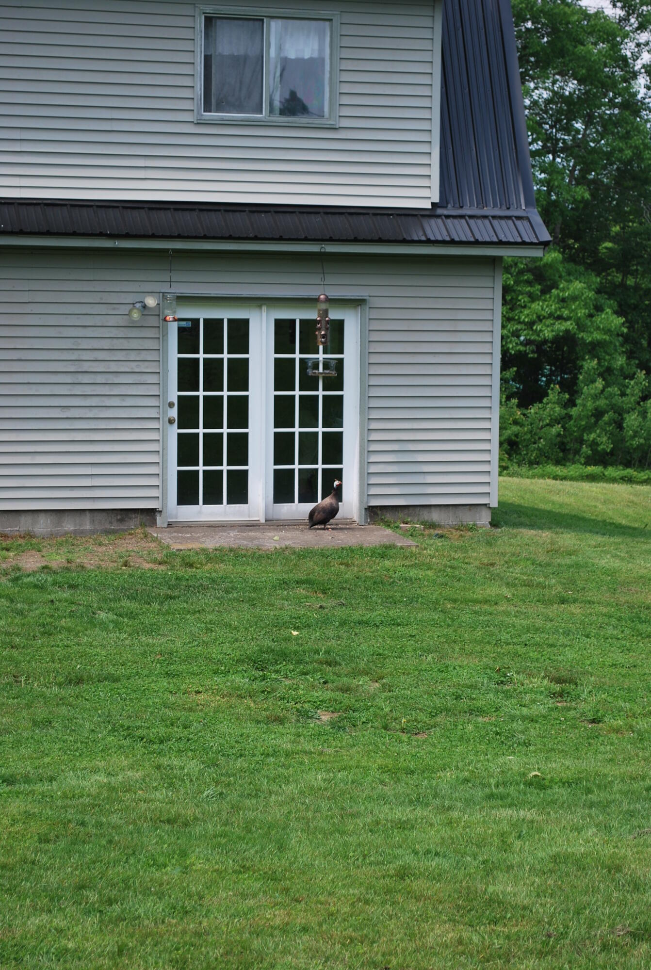 180 Chadbourne Road Harmony, ME 04942 - Photo 12 of 35 180 Chadbourne Road Harmony 014