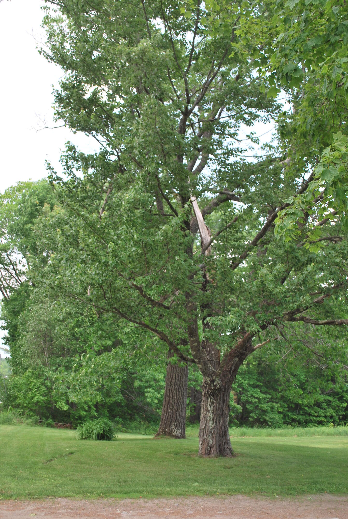 180 Chadbourne Road Harmony, ME 04942 - Photo 13 of 35 180 Chadbourne Road Harmony 016