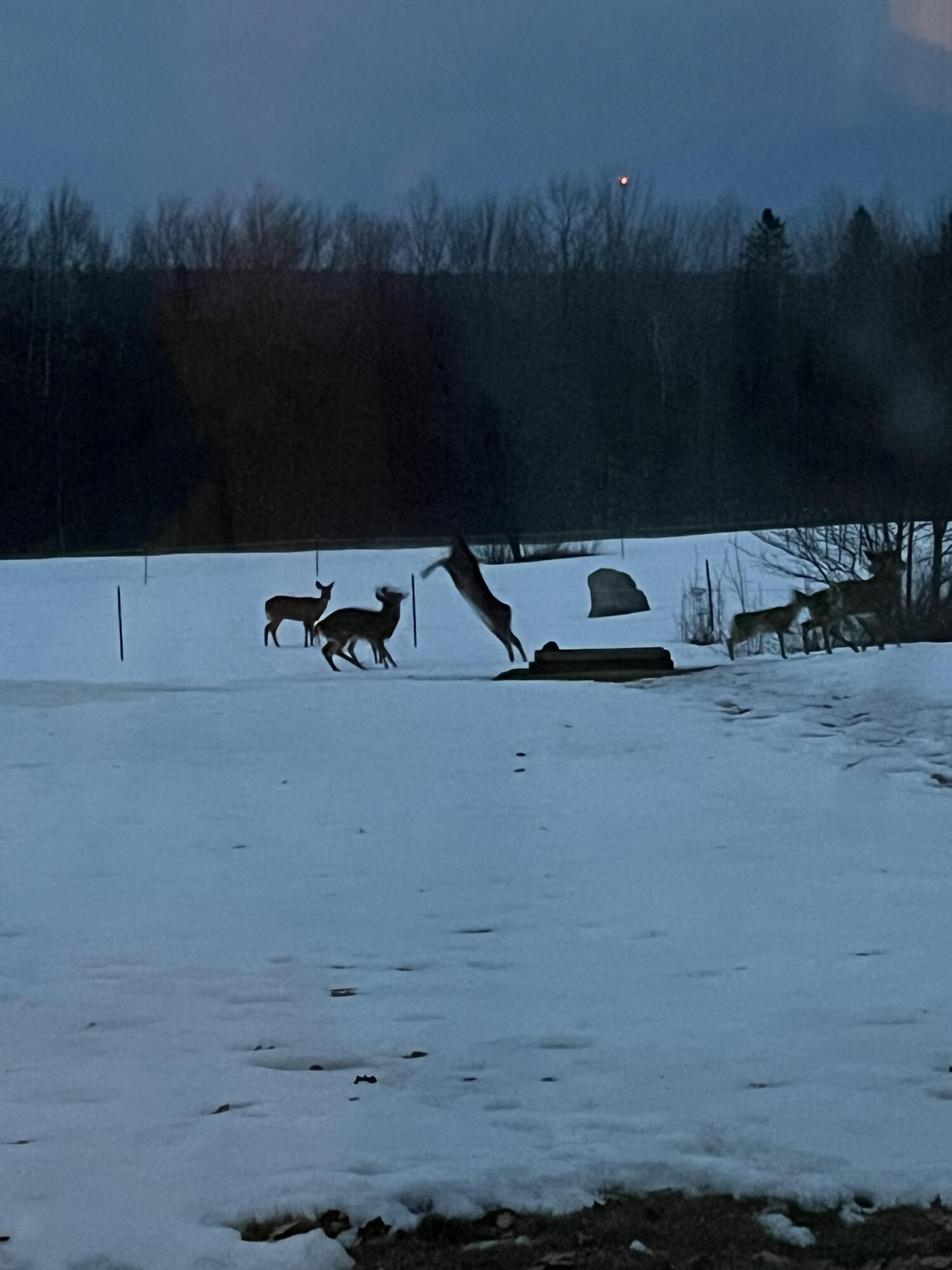 180 Chadbourne Road Harmony, ME 04942 - Photo 31 of 35 Quigley 24