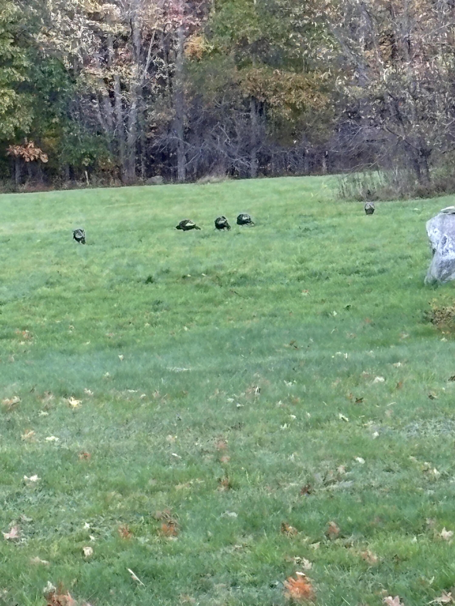 180 Chadbourne Road Harmony, ME 04942 - Photo 32 of 35 Quigley 25