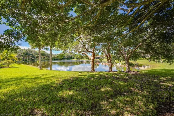 a view of yard with trees